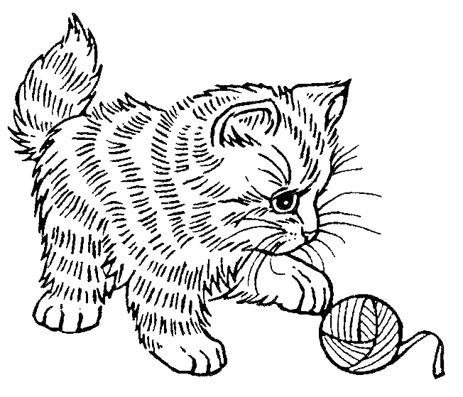 Kolorowanka kot z krótką sierścią i kudłatą łapką dotyka kłębka wełny