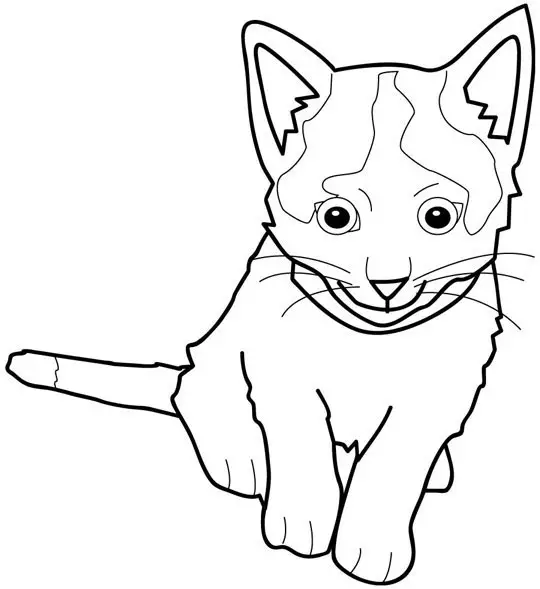Kolorowanka kot z łatkami na czole i długimi wąsami siedzi