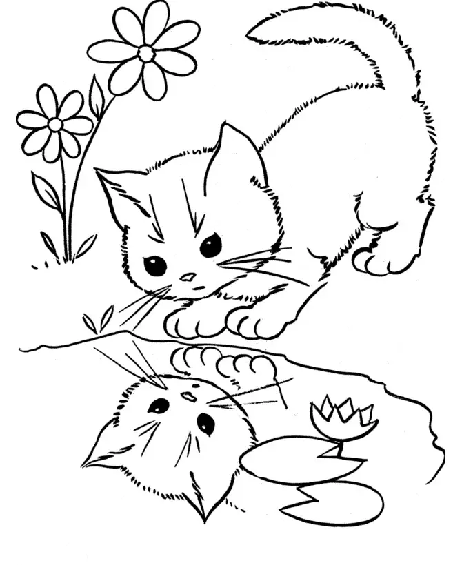 Kolorowanka kot zdziwiony siedzi przy kwiatku i patrzy się na swoje odbicie w kałuży