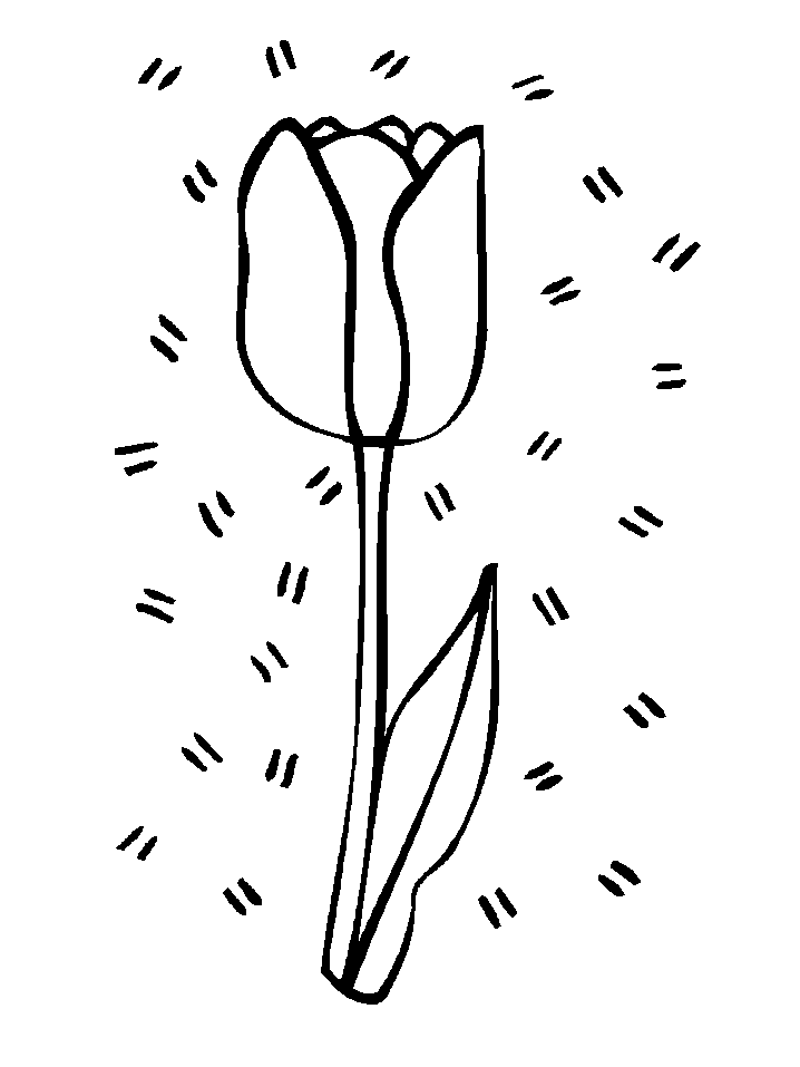 Kolorowanka kwiaty tulipan lśniący z długim liściem