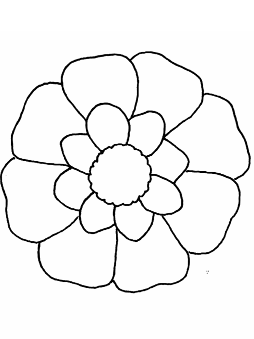 Kolorowanka kwiaty z podwójną linią różnych płatków okrągły i rozwinięty