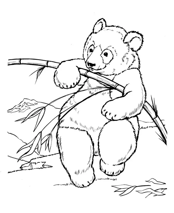 Kolorowanka panda próbuje złamać bambus wspinając się na niego