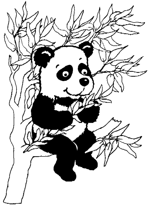 Kolorowanka panda siedzi na drzewie i je liście