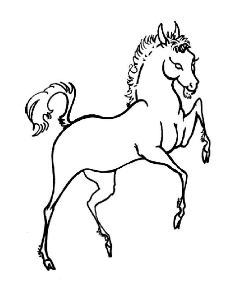 Kolorowanka konie dorosły koń z chudymi nogami i uniesionymi uszami staje dęba