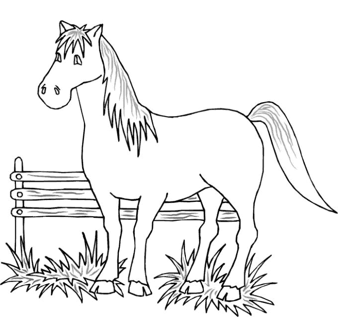 Kolorowanka konie koń z długim ogonem stoi na trawie przy drewnianym płocie