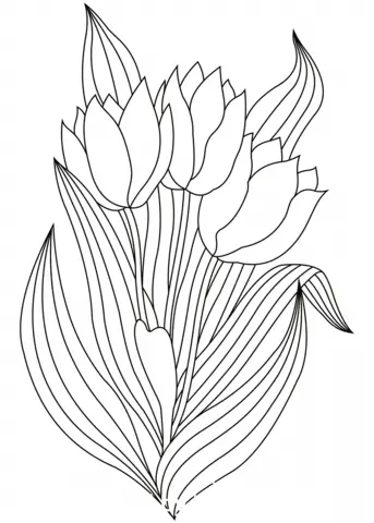 Bukiecik tulipanów
