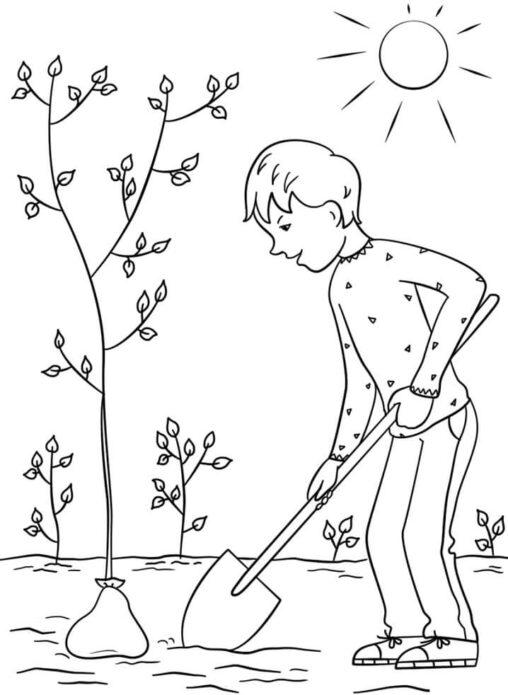 Chłopiec sadzi drzewo