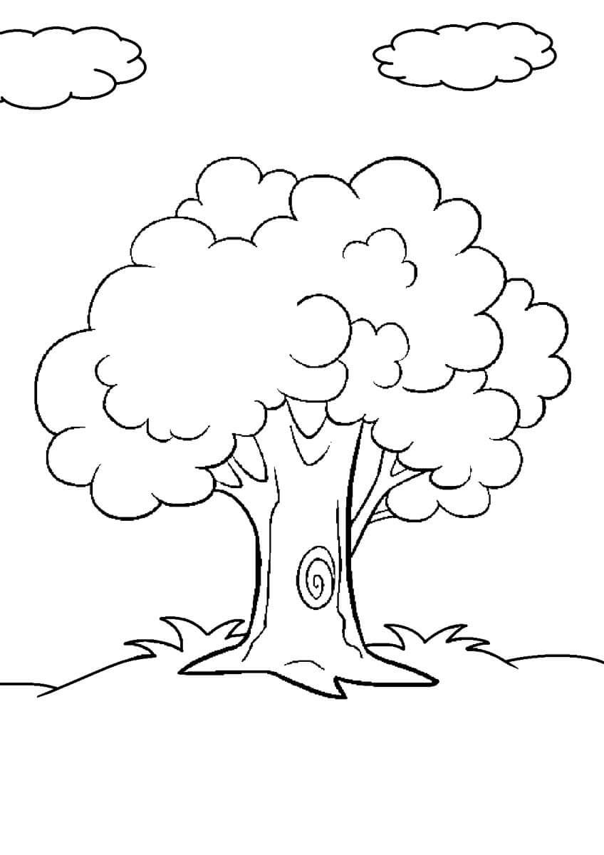 Drzewo i chmury