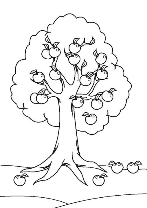 Drzewo z owocami
