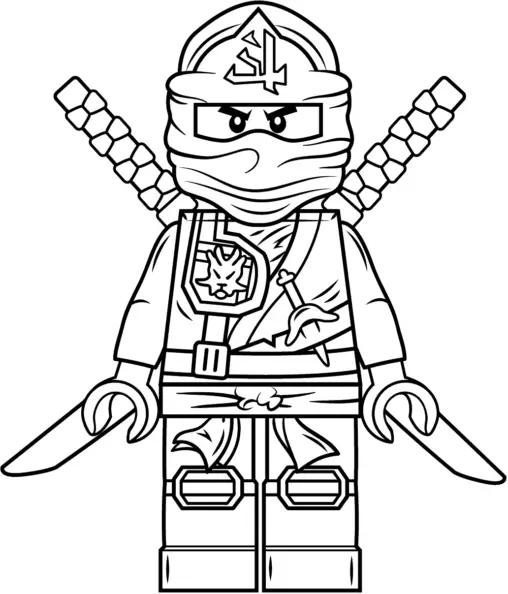 Lego Ninja Lloyd Zukin Robe