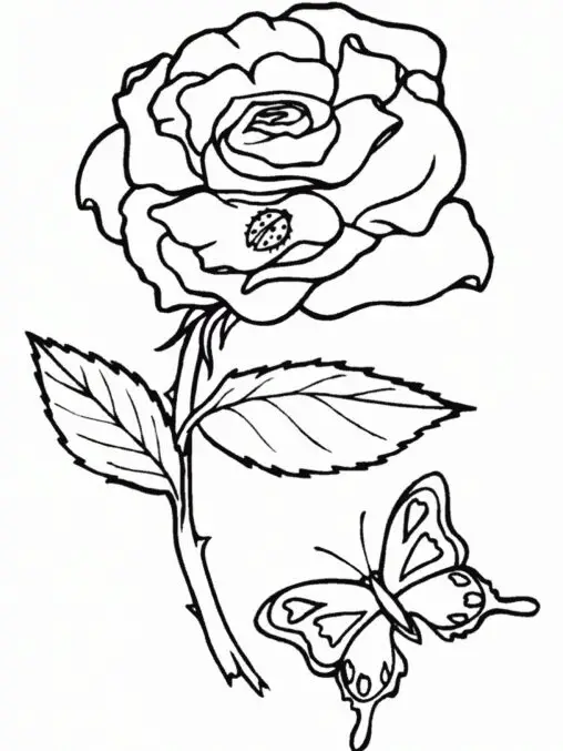 Róża z motylem i biedronką