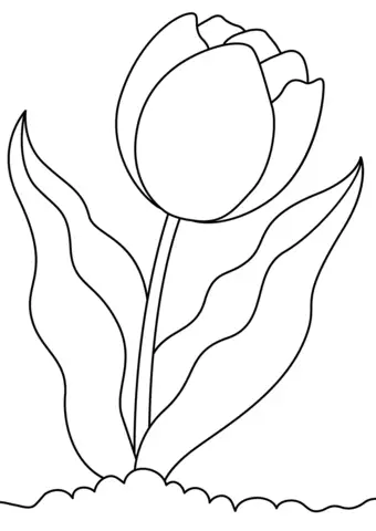 Tulipan do kolorowania