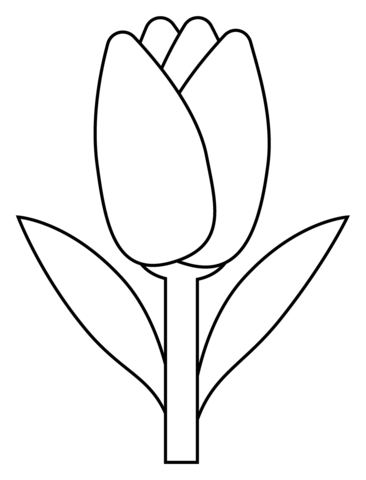 Tulipan do pokolorowania